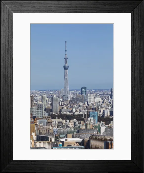 Framed Print : Japan, Honshu, Tokyo, Toyosu Area Skyline and Skytree Tower