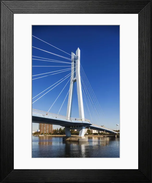 Framed Print : Japan, Honshu, Tokyo, Toyosu, Shinonome, Tatsuma Sakurabashi Bridge and Shinonome Framed Print : Japan, Honshu, Tokyo, Toyosu, Shinonome, Tatsuma Sakurabashi Bridge and Shinonome