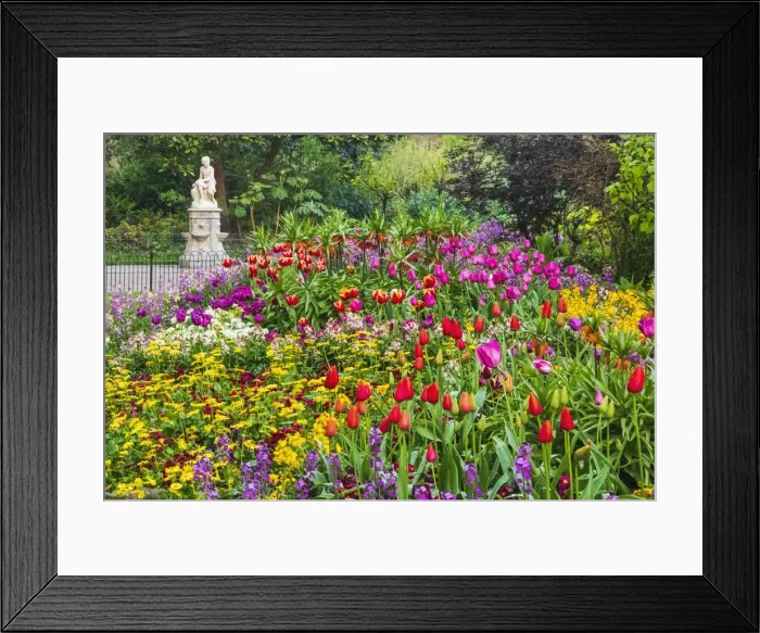 Framed Print : England, London, St. James Park, Spring Flowers in Bloom and The Boy Statue Water Framed Print : England, London, St. James Park, Spring Flowers in Bloom and The Boy Statue Water