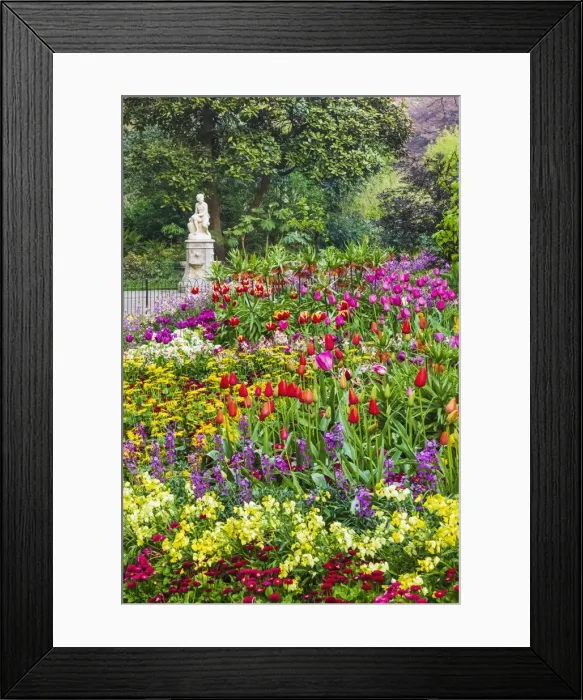 Framed Print : England, London, St. James Park, Spring Flowers in Bloom and The Boy Statue Framed Print : England, London, St. James Park, Spring Flowers in Bloom and The Boy Statue