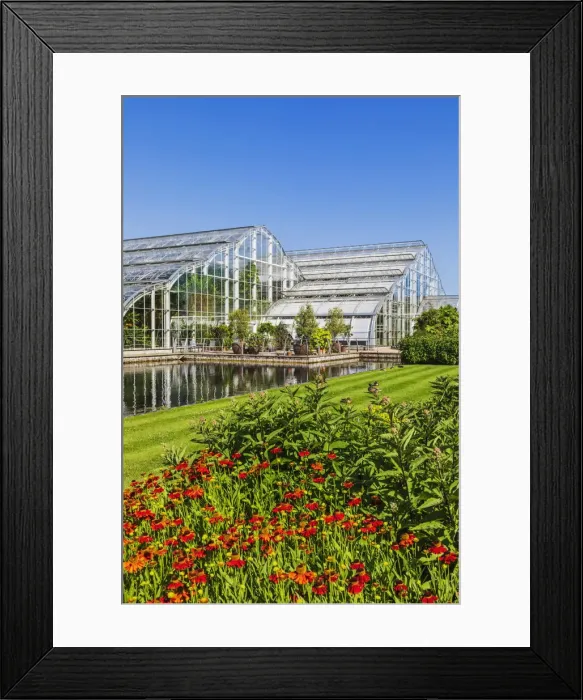 Framed Print : England, Surrey, Guildford, Wisley, The Royal Horticultural Society Garden, The Glasshouse Framed Print : England, Surrey, Guildford, Wisley, The Royal Horticultural Society Garden, The Glasshouse