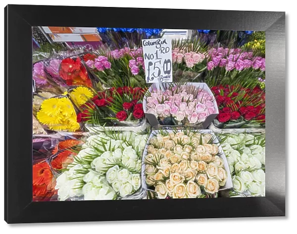 England, London, Columbia Road Flower Market, Display of Roses
