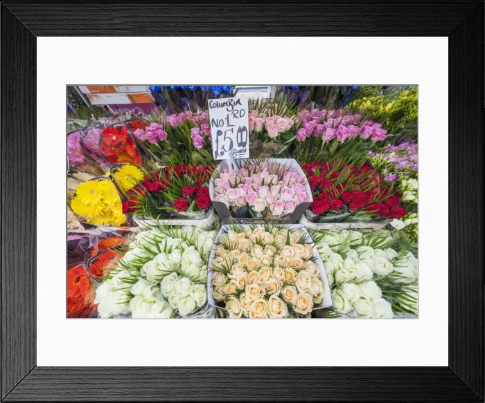 Framed Print : England, London, Columbia Road Flower Market, Display of Roses Framed Print : England, London, Columbia Road Flower Market, Display of Roses