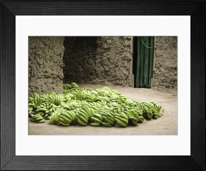 Framed Print : Green bananas, Mto wa Mbu village, Tanzania Framed Print : Green bananas, Mto wa Mbu village, Tanzania