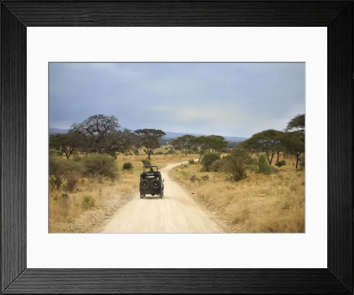 Framed Print : Tarangire National Park, Tanzania Framed Print : Tarangire National Park, Tanzania