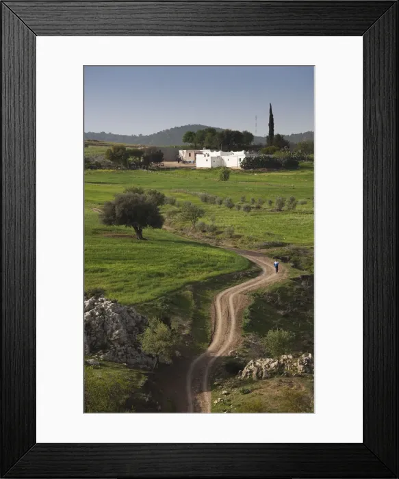 Framed Print : Tunisia, Central Western Tunisia, El Krib, Teboursouk Mountains landscape, springtime Framed Print : Tunisia, Central Western Tunisia, El Krib, Teboursouk Mountains landscape, springtime