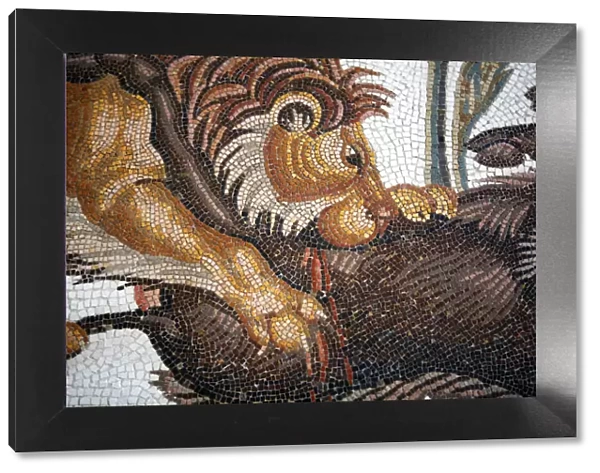 Roman mosaic (3rd century), Archaeological museum, El Jem, Tunisia
