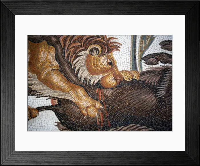 Framed Print : Roman mosaic (3rd century), Archaeological museum, El Jem, Tunisia Framed Print : Roman mosaic (3rd century), Archaeological museum, El Jem, Tunisia