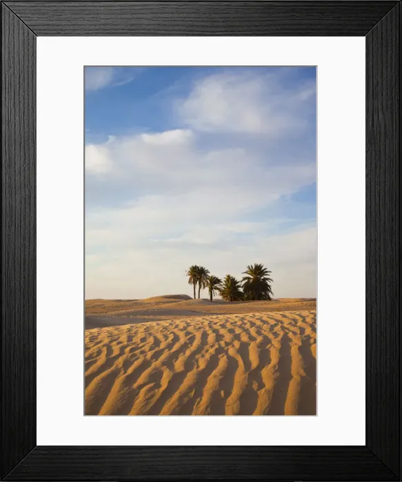 Framed Print : Tunisia, Sahara Desert, Douz, Great Dune Framed Print : Tunisia, Sahara Desert, Douz, Great Dune