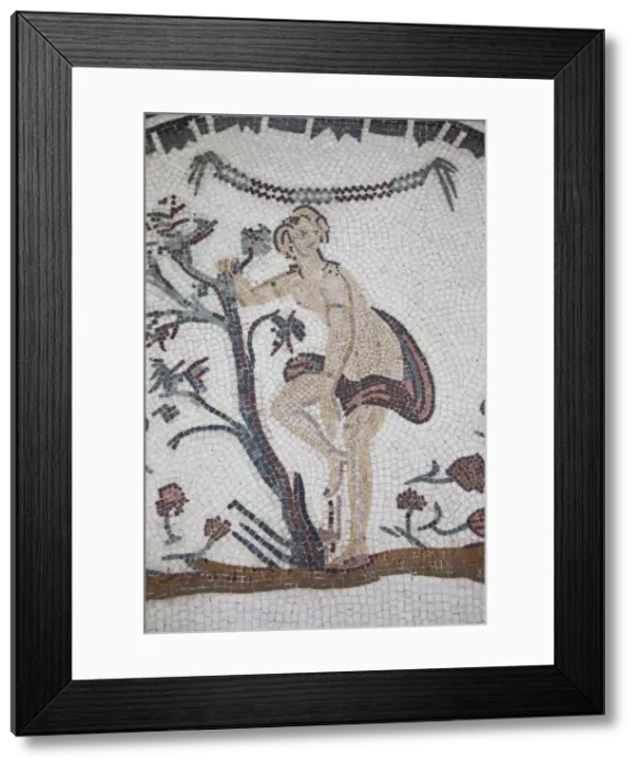 Framed Print : Tunisia, Central Western Tunisia, Makthar, ruins of the Roman-era city of Mactaris Framed Print : Tunisia, Central Western Tunisia, Makthar, ruins of the Roman-era city of Mactaris