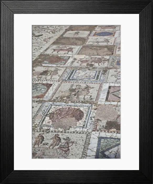 Framed Print : Tunisia, Tunis, Carthage, Roman-era Villa mosaiques Framed Print : Tunisia, Tunis, Carthage, Roman-era Villa mosaiques