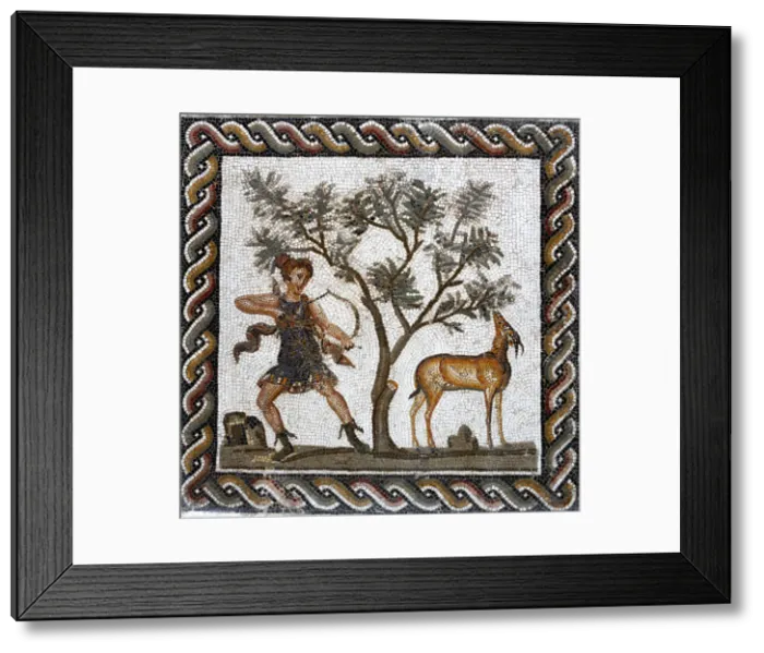 Framed Print : Roman mosaic, Bardo museum, Tunis, Tunisia Framed Print : Roman mosaic, Bardo museum, Tunis, Tunisia