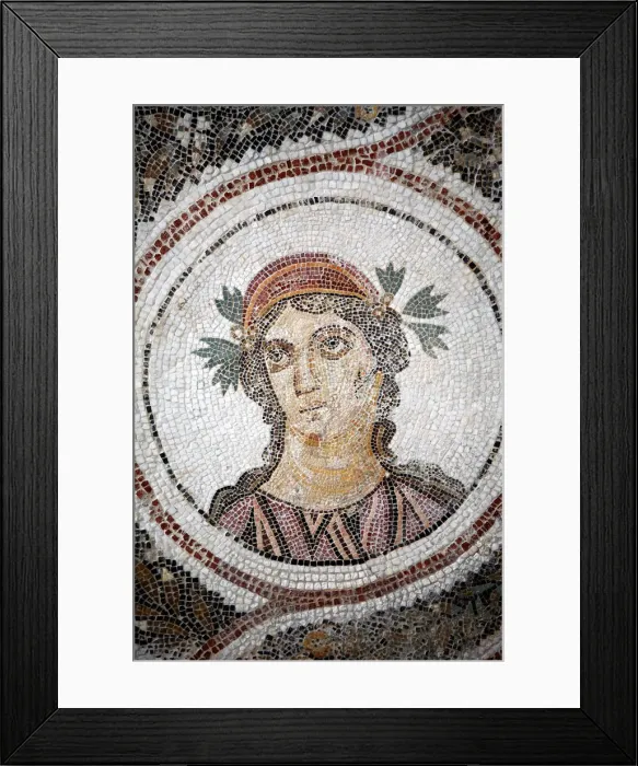 Framed Print : Roman mosaic (3rd century), Archaeological museum, El Jem, Tunisia Framed Print : Roman mosaic (3rd century), Archaeological museum, El Jem, Tunisia