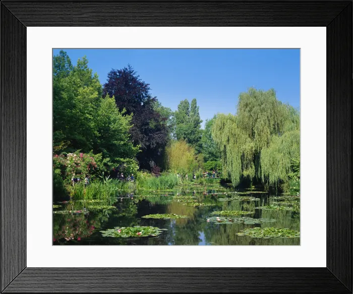 Framed Print : France, Normandy, Giverny, Monets Garden Framed Print : France, Normandy, Giverny, Monets Garden