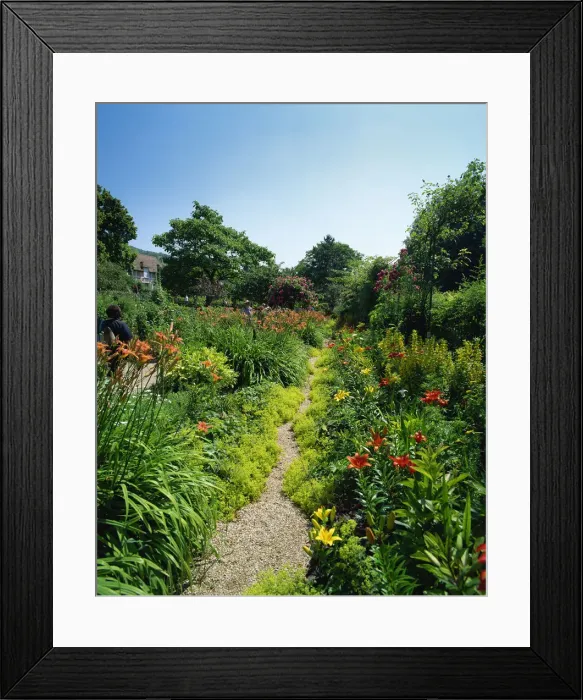 Framed Print : France, Normandy, Giverny, Monets Garden Framed Print : France, Normandy, Giverny, Monets Garden
