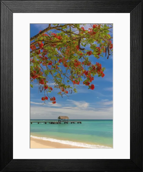 Framed Print : Caribbean, Trinidad and Tobago, Tobago, Pigeon Point Framed Print : Caribbean, Trinidad and Tobago, Tobago, Pigeon Point