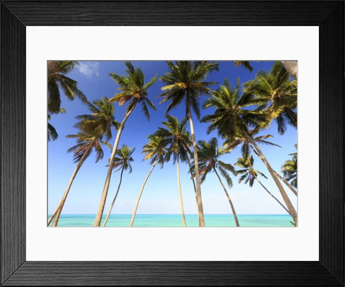 Framed Print : Tanzania. Zanzibar, Jambiani, Jambani Beach and Coconut Plantation Framed Print : Tanzania. Zanzibar, Jambiani, Jambani Beach and Coconut Plantation