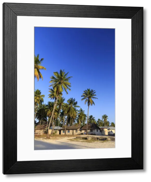 Framed Print : Tanzania. Zanzibar, Jambiani, Jambani Village Framed Print : Tanzania. Zanzibar, Jambiani, Jambani Village
