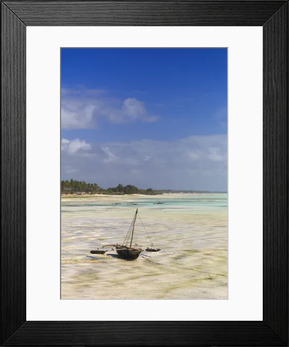Framed Print : Tanzania. Zanzibar, Jambiani, local lwomen collecting seaweed from the plantations Framed Print : Tanzania. Zanzibar, Jambiani, local lwomen collecting seaweed from the plantations