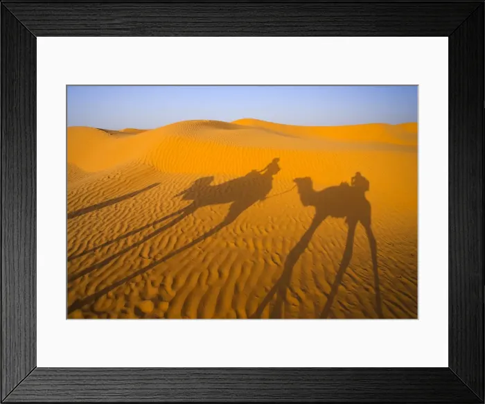 Framed Print : Africa, Tunisia, Ksar Ghilane Desert Oasis