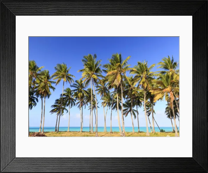 Framed Print : Tanzania. Zanzibar, Jambiani, Jambani Beach and Coconut Plantation