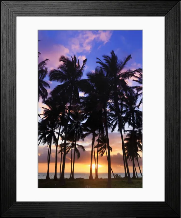 Framed Print : Tanzania. Zanzibar, Jambiani, Jambani Beach and Coconut Plantation Framed Print : Tanzania. Zanzibar, Jambiani, Jambani Beach and Coconut Plantation