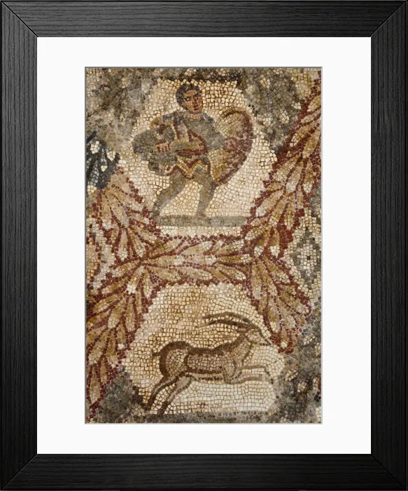 Framed Print : Tunisia, Tunis, Carthage, Roman-era Villa mosaiques Framed Print : Tunisia, Tunis, Carthage, Roman-era Villa mosaiques