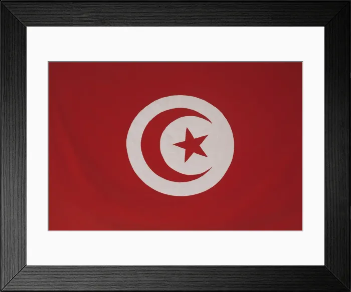 Framed Print : Tunisia, Tunis, Carthage, Byrsa Hill, Tunisian flag Framed Print : Tunisia, Tunis, Carthage, Byrsa Hill, Tunisian flag