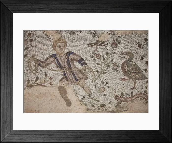 Framed Print : Tunisia, Tunis, Carthage, Roman-era Villa mosaiques Framed Print : Tunisia, Tunis, Carthage, Roman-era Villa mosaiques