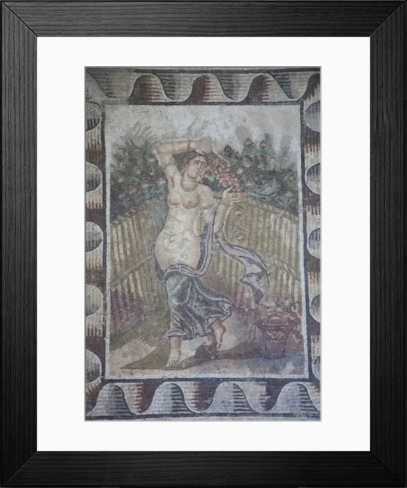 Framed Print : Tunisia, Tunis, Carthage, Byrsa Hill, Musee de Carthage, Roman-era mosaic detail Framed Print : Tunisia, Tunis, Carthage, Byrsa Hill, Musee de Carthage, Roman-era mosaic detail