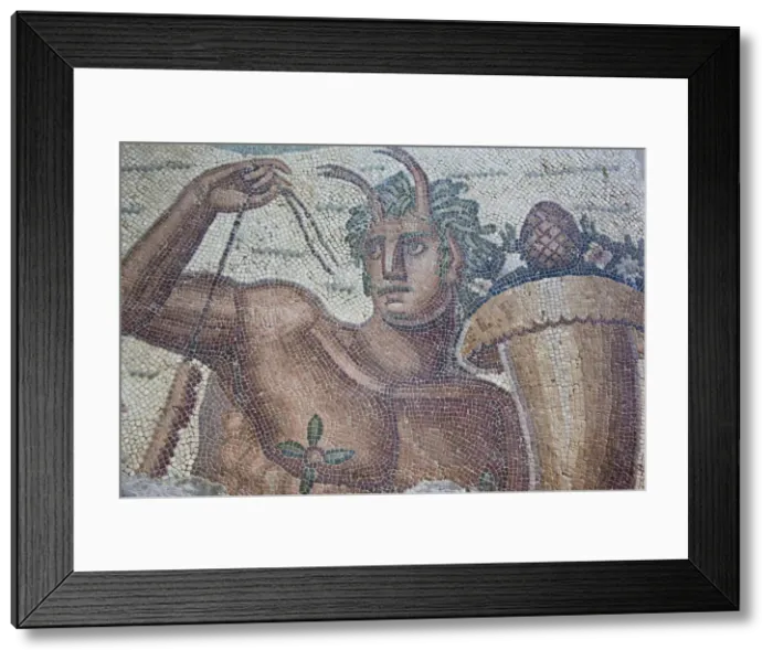 Framed Print : Tunisia, Tunis, Carthage, Byrsa Hill, Musee de Carthage, Roman-era mosaic detail Framed Print : Tunisia, Tunis, Carthage, Byrsa Hill, Musee de Carthage, Roman-era mosaic detail