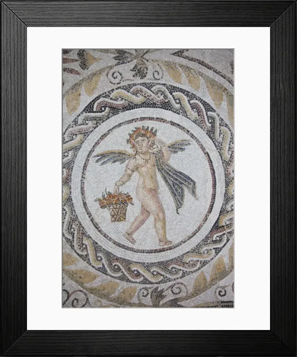 Framed Print : Tunisia, Tunisian Central Coast, El Jem, El Jem Museum, Roman-era mosaic Framed Print : Tunisia, Tunisian Central Coast, El Jem, El Jem Museum, Roman-era mosaic