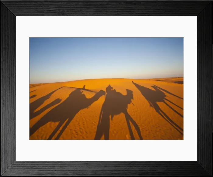 Framed Print : Tunisia, Ksour Area, Ksar Ghilane, Grand Erg Oriental Desert, camel caravan Framed Print : Tunisia, Ksour Area, Ksar Ghilane, Grand Erg Oriental Desert, camel caravan