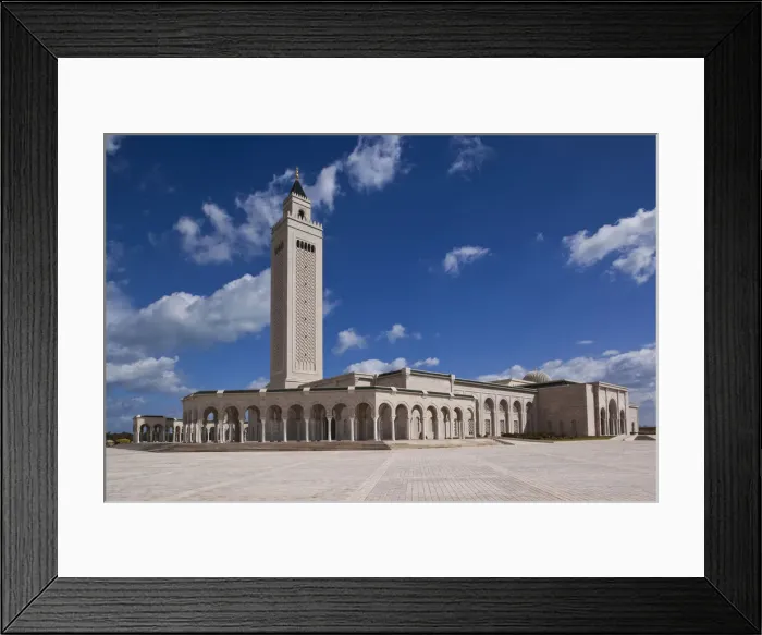 Framed Print : Tunisia, Tunis, Carthage, Mosque del Abedine