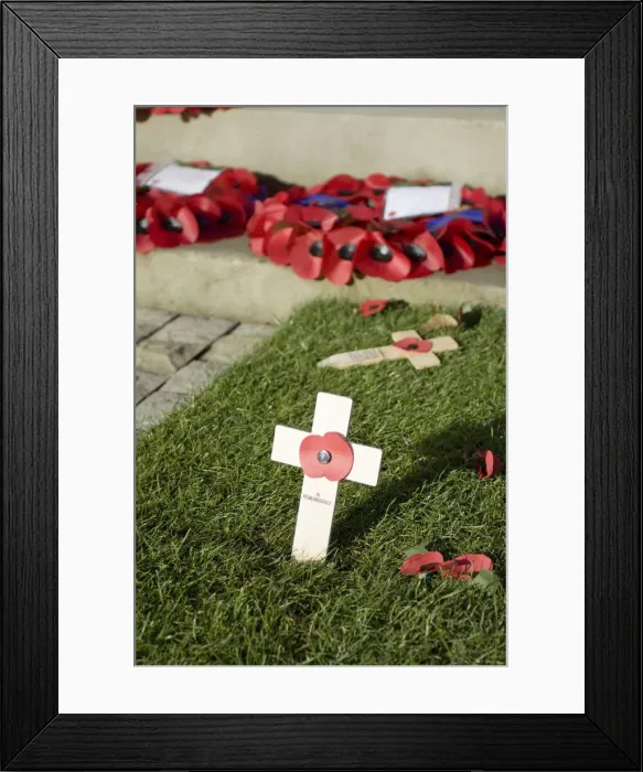Framed Print : War Memorial, Woking, Surrey, England Framed Print : War Memorial, Woking, Surrey, England