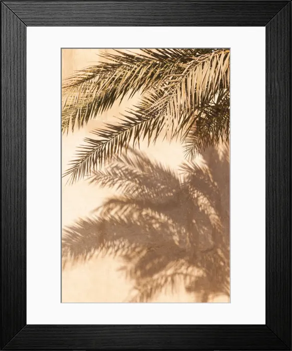 Framed Print : UAE, Dubai, Bur Dubai, Al Fahidi Historic District, palm tree shadows Framed Print : UAE, Dubai, Bur Dubai, Al Fahidi Historic District, palm tree shadows