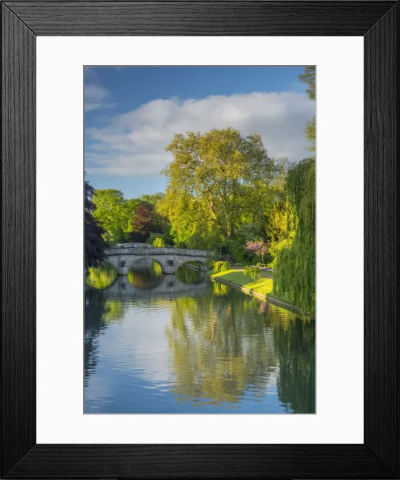 Framed Print : UK, England, Cambridgeshire, Cambridge, The Backs, River Cam Framed Print : UK, England, Cambridgeshire, Cambridge, The Backs, River Cam