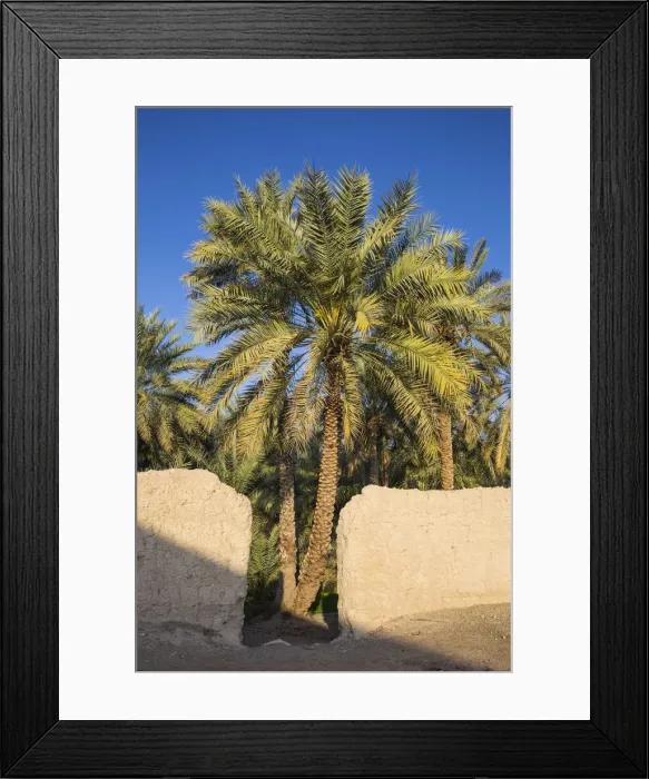 Framed Print : United Arab Emirates, Abu Dhabi, Al Ain, Hili, Hili oasis Framed Print : United Arab Emirates, Abu Dhabi, Al Ain, Hili, Hili oasis