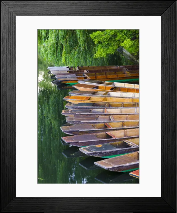Framed Print : UK, England, Cambridge, River Cam, Punts Framed Print : UK, England, Cambridge, River Cam, Punts