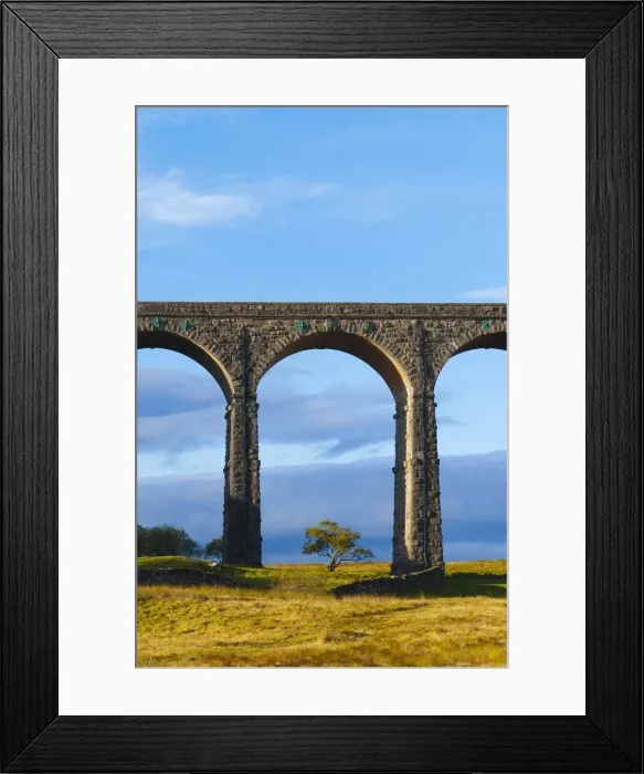 Framed Print : UK, England, North Yorkshire, Ribblehead Viaduct on the Settle to Carlisle Railway Line Framed Print : UK, England, North Yorkshire, Ribblehead Viaduct on the Settle to Carlisle Railway Line