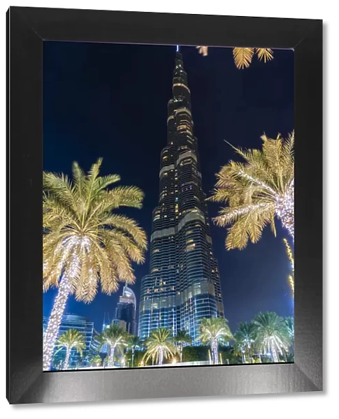 Burj Khalifa & palm trees at night, Dubai, United Arab Emirates, U. A. E