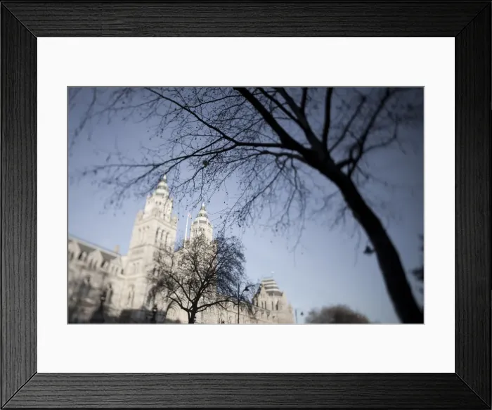 Framed Print : Natural History Museum, Exhibition Road, South Kensington, London, England Framed Print : Natural History Museum, Exhibition Road, South Kensington, London, England