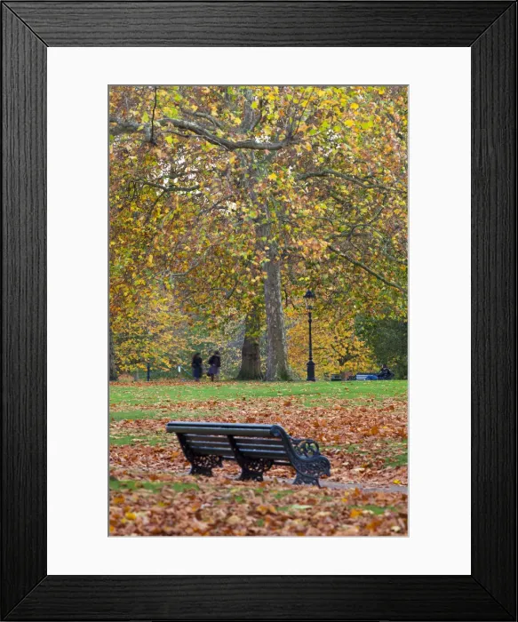 Framed Print : Autumn in Green Park, London, England Framed Print : Autumn in Green Park, London, England