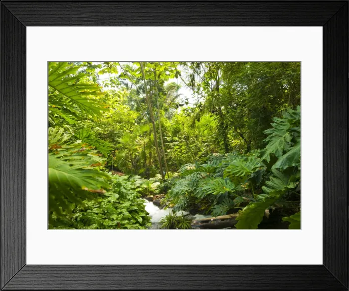 Framed Print : UK, England, Cornwall, Eden Project Framed Print : UK, England, Cornwall, Eden Project