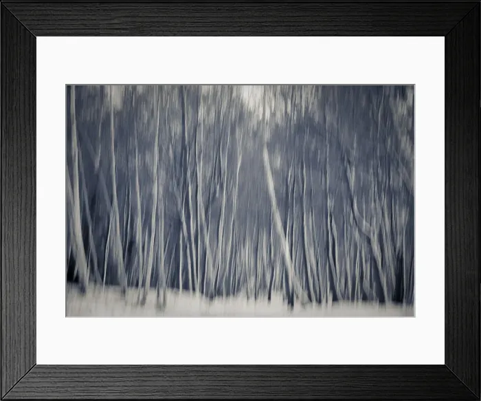 Framed Print : Woods in snow, England Framed Print : Woods in snow, England