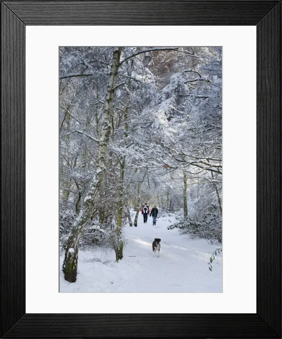 Framed Print : Couple with baby and dog walking in Forest in snow Framed Print : Couple with baby and dog walking in Forest in snow