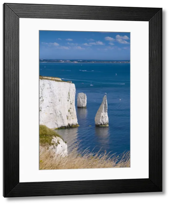 Framed Print : UK, England, Dorset, Swanage, Jurassic Coast, The Foreland or Handfast Point