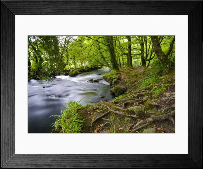 Framed Print : UK, England, Cornwall, Bodmin Moor, Golitha Falls Framed Print : UK, England, Cornwall, Bodmin Moor, Golitha Falls
