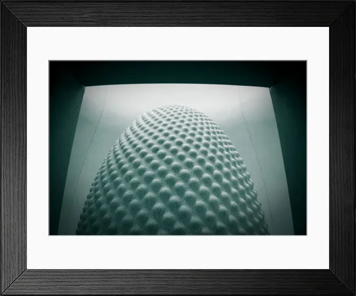 Framed Print : The Seed inside the Core, Eden Project, Cornwall, England Framed Print : The Seed inside the Core, Eden Project, Cornwall, England