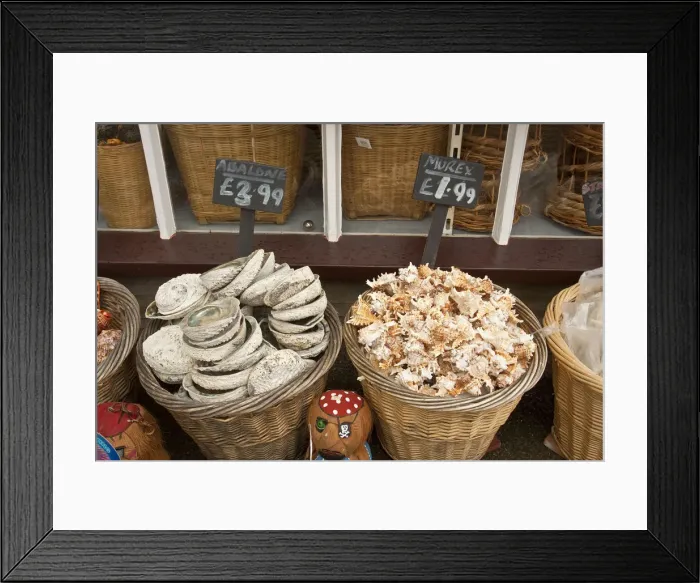 Framed Print : Beach shop in Padstow, Cornwall, England Framed Print : Beach shop in Padstow, Cornwall, England